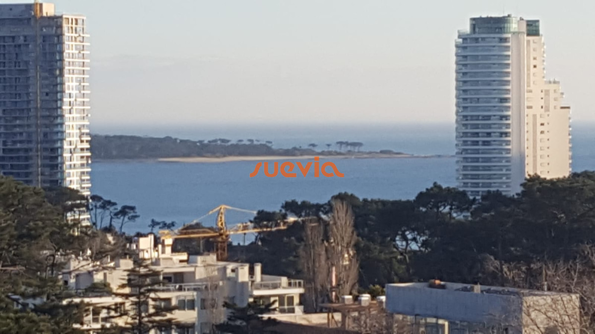 Apartamento ID.2624 - Apartamento - Avenida Roosevelt