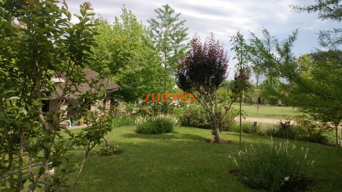 Los Arrayanes - GoPunta - Portal Inmobiliario de Punta del Este - Maldonado