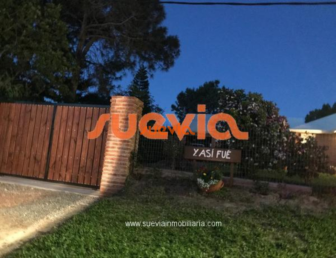 Tio Tom - GoPunta - Portal Inmobiliario de Punta del Este - Maldonado