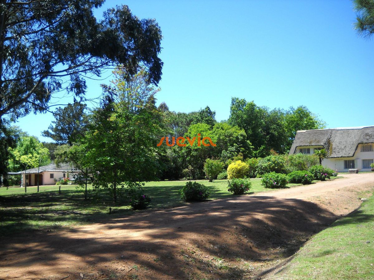 Punta Ballena - GoPunta - Portal Inmobiliario de Punta del Este - Maldonado