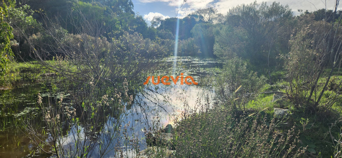 Chacra sobre Ruta 12, Pueblo Edén
