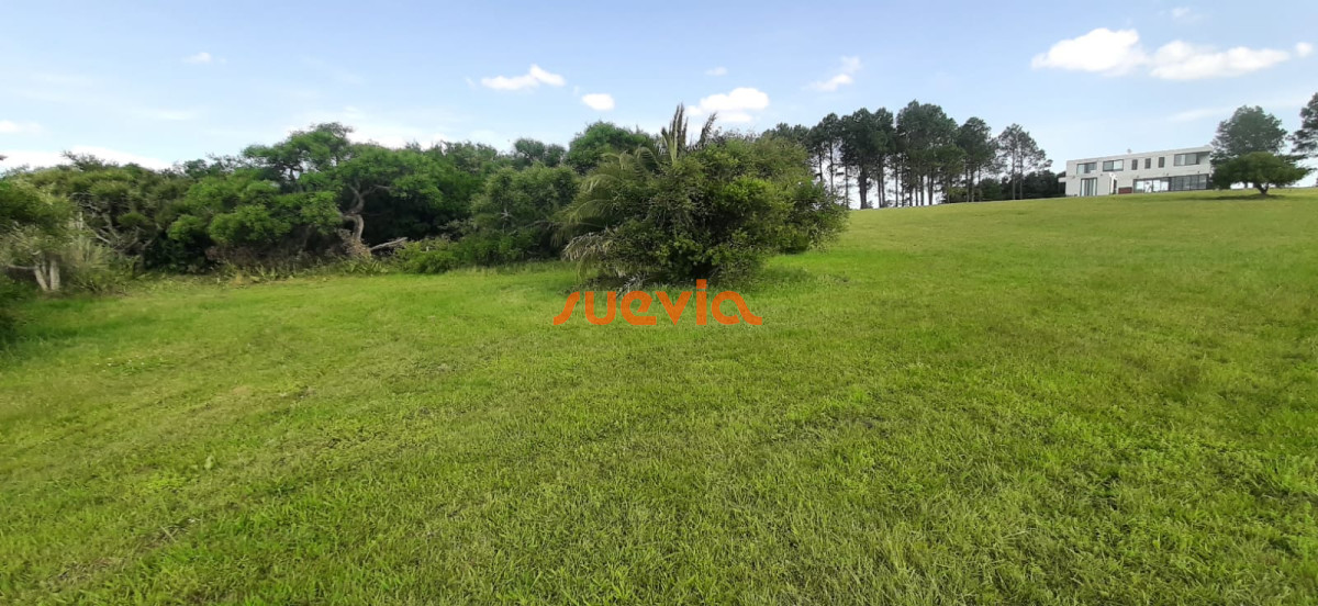 Chacra en el Quijote en venta!! - GoPunta - Portal Inmobiliario de Punta del Este - Maldonado