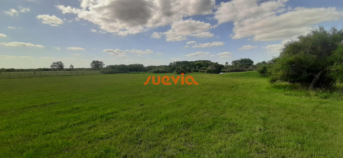 Chacra en el Quijote en venta!! - GoPunta - Portal Inmobiliario de Punta del Este - Maldonado