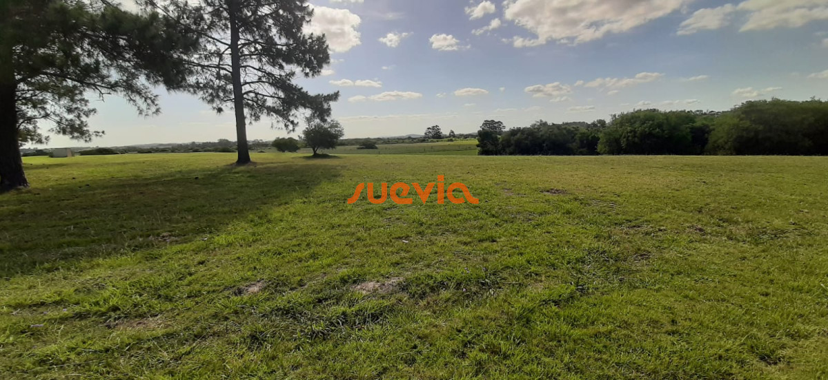 Chacra en el Quijote en venta!! - GoPunta - Portal Inmobiliario de Punta del Este - Maldonado