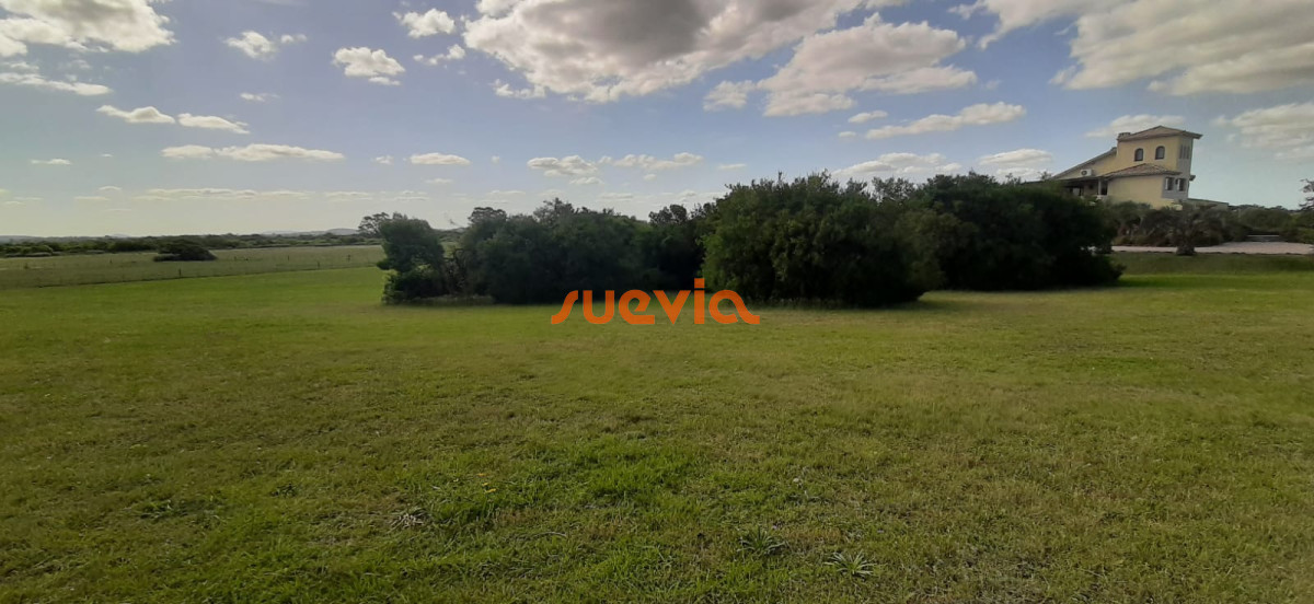 Chacra en el Quijote en venta!! - GoPunta - Portal Inmobiliario de Punta del Este - Maldonado