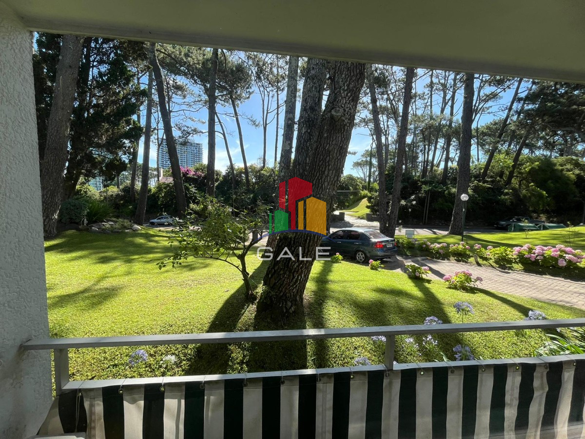 Hermoso Y Amplio Apartamento en Punta Del Este - GAL2136A