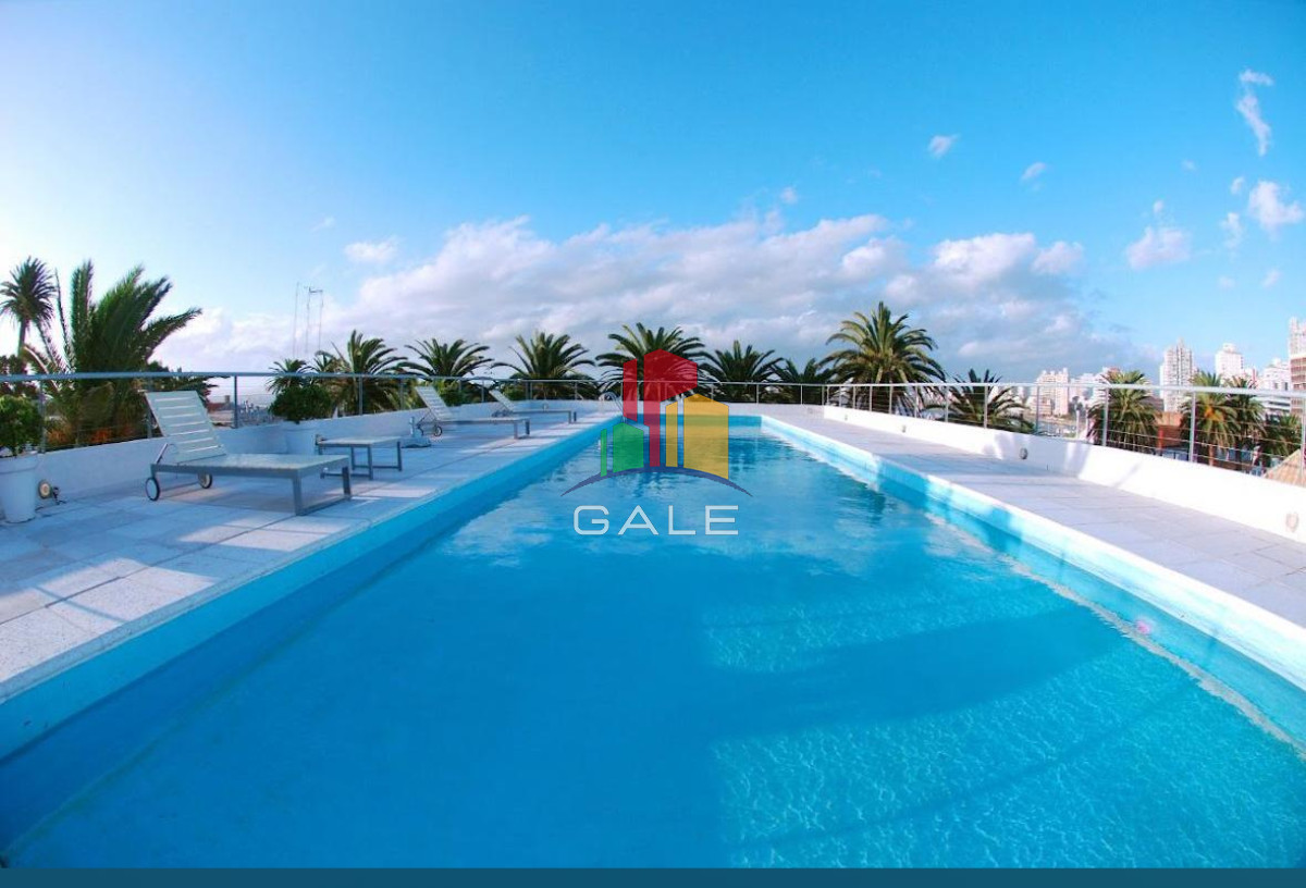 Apartamento ID.3133 - Moderno monoambiente en Peninsula