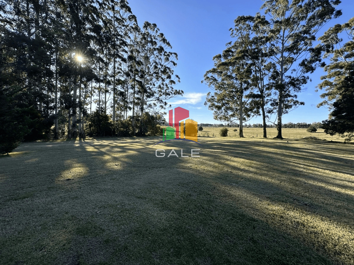 Punta Ballena - GoPunta - Portal Inmobiliario de Punta del Este - Maldonado