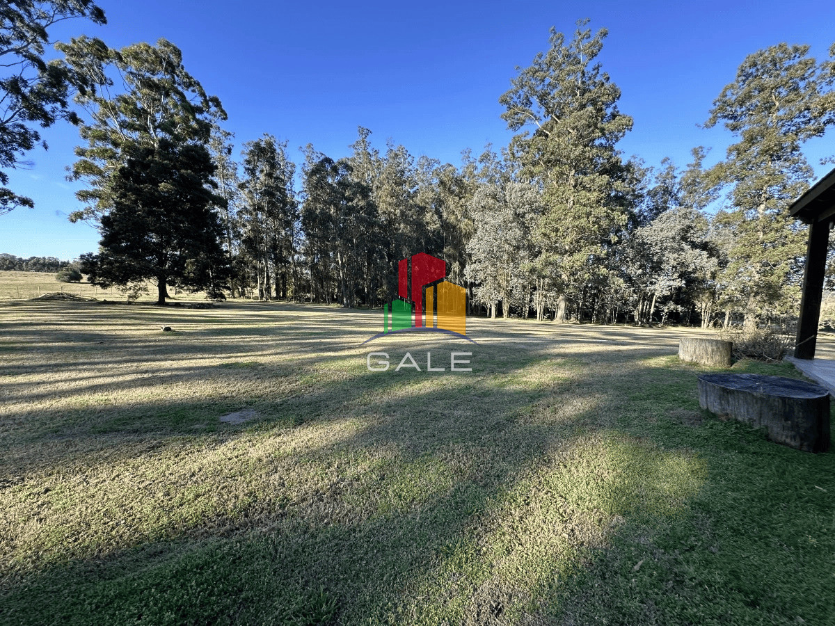 Punta Ballena - GoPunta - Portal Inmobiliario de Punta del Este - Maldonado