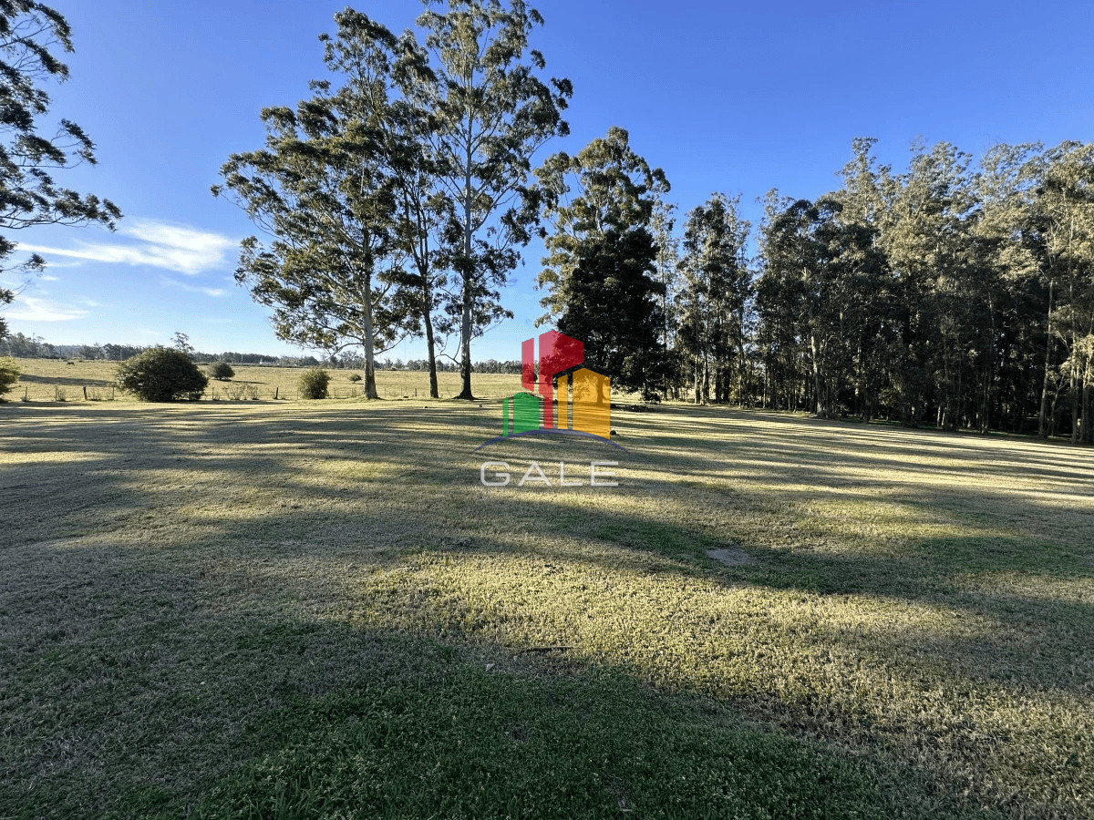 Punta Ballena - GoPunta - Portal Inmobiliario de Punta del Este - Maldonado