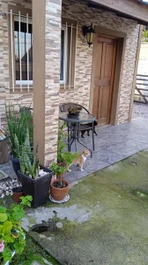 Casa en en venta CON RENTA - Biarritz