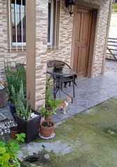 Casa en en venta CON RENTA - Biarritz