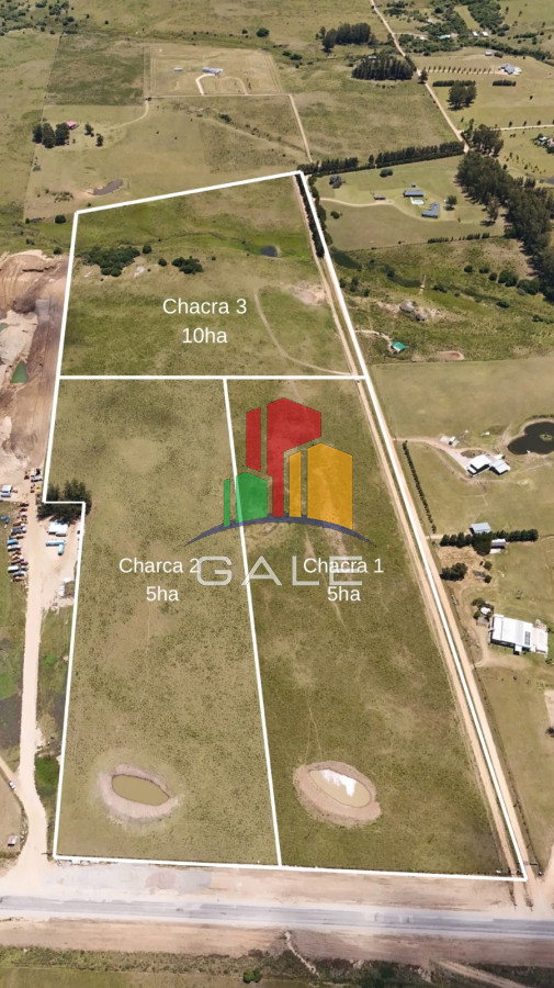 Chacras en venta, sobre ruta 12, Maldonado - GoPunta - Portal Inmobiliario de Punta del Este - Maldonado