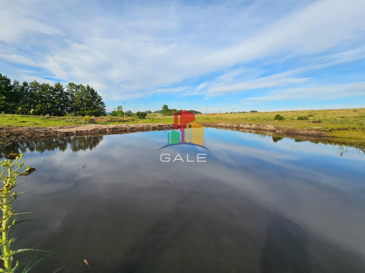 Chacras en venta, sobre ruta 12, Maldonado - GoPunta - Portal Inmobiliario de Punta del Este - Maldonado