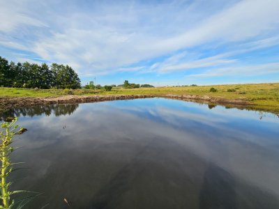 Chacras en venta, sobre ruta 12, Maldonado
