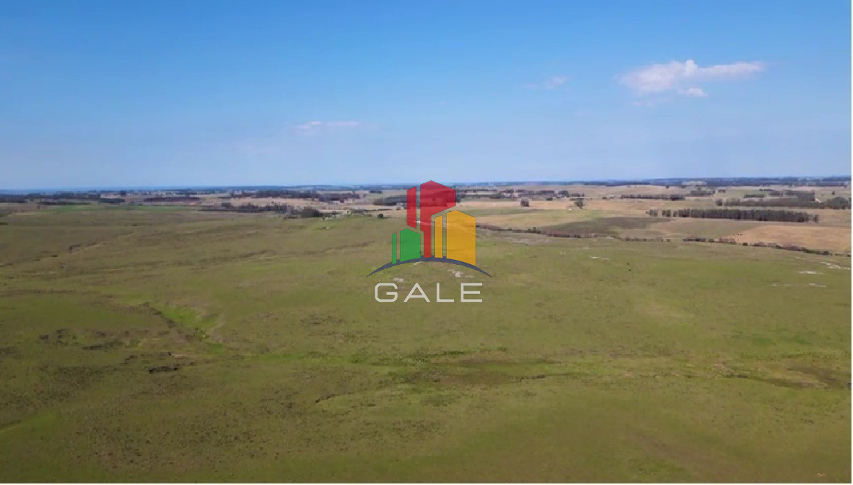 Campo Ref.1687 - Dos padrones rurales