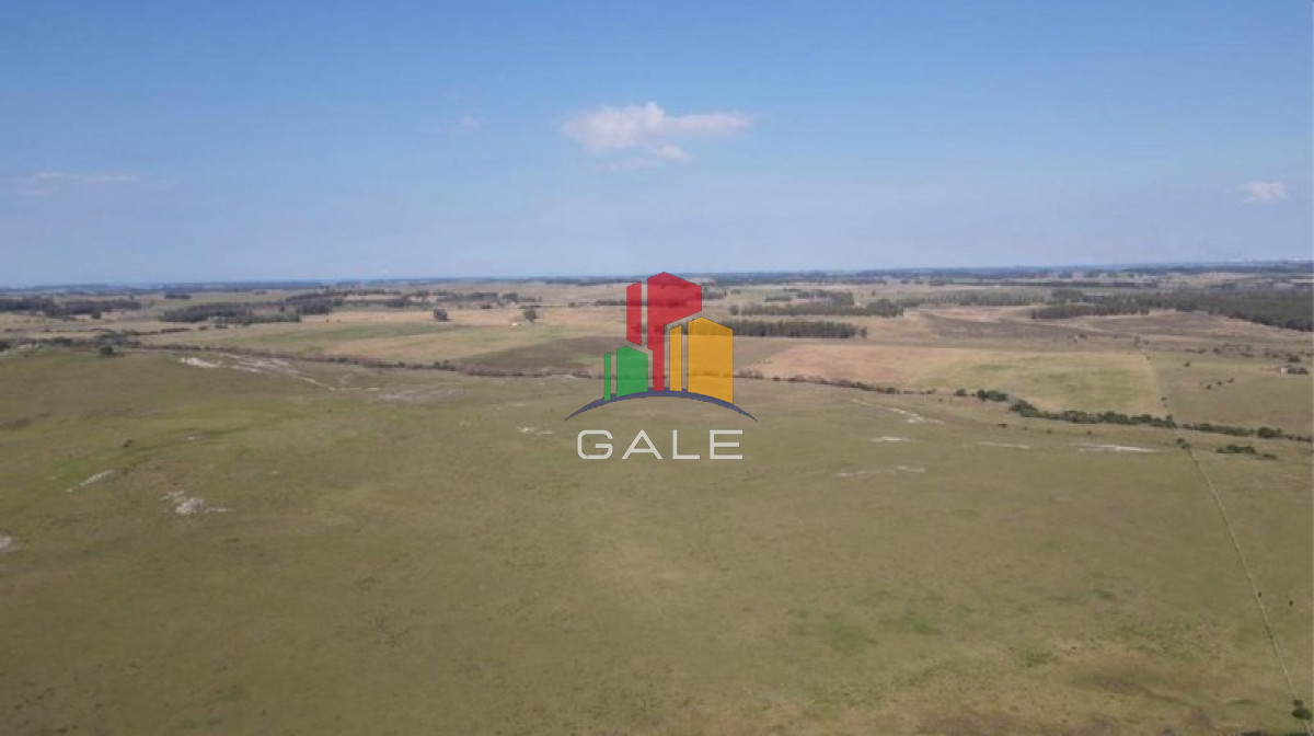 Campo Ref.1687 - Dos padrones rurales