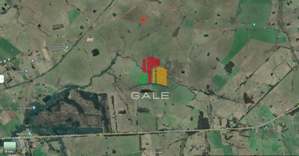 Campo Ref.1687 - Dos padrones rurales