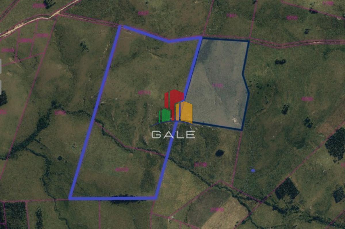 Campo Ref.1687 - Dos padrones rurales