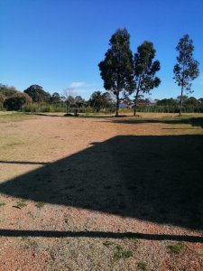 impecable terreno para inversionistas - gal2t