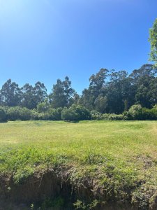 terreno barrio privado verde mora - gal3247t