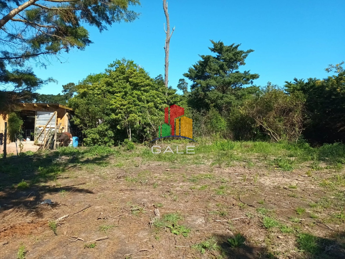 Piedras del Chileno - GoPunta - Portal Inmobiliario de Punta del Este - Maldonado