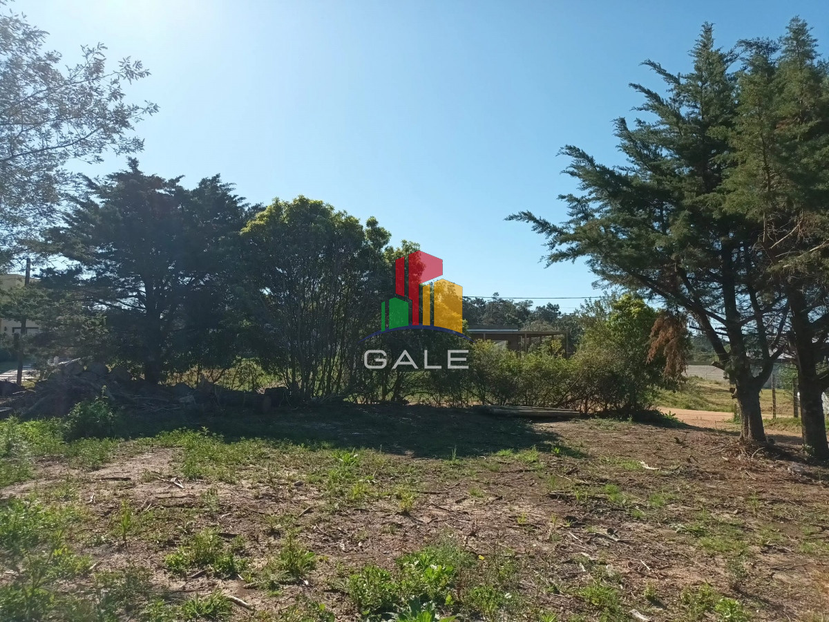 Piedras del Chileno - GoPunta - Portal Inmobiliario de Punta del Este - Maldonado