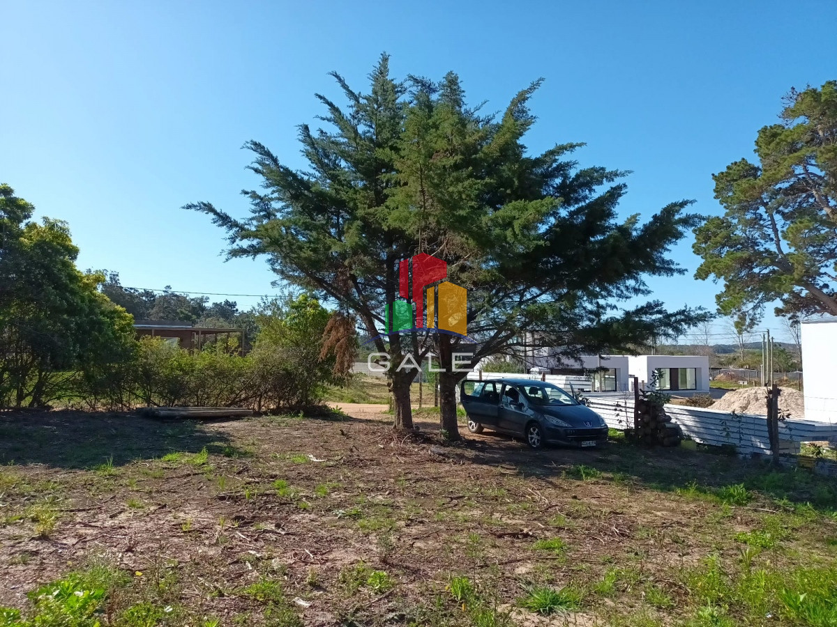 Piedras del Chileno - GoPunta - Portal Inmobiliario de Punta del Este - Maldonado