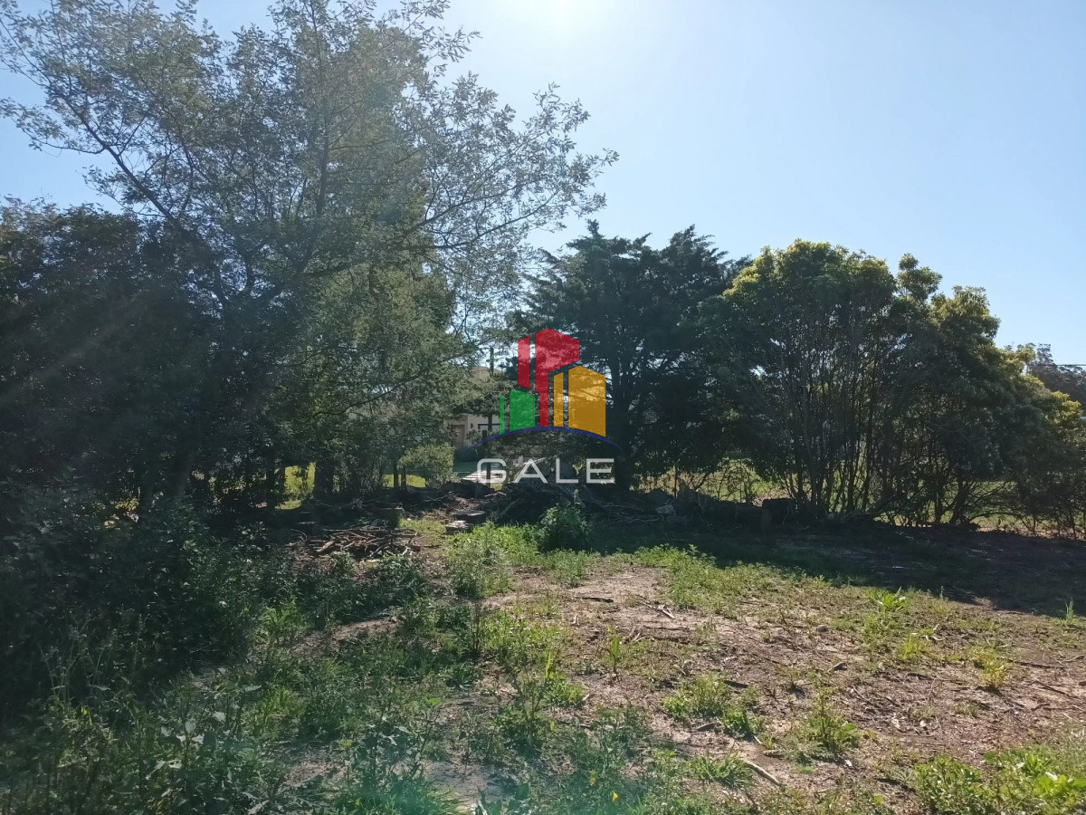Piedras del Chileno - GoPunta - Portal Inmobiliario de Punta del Este - Maldonado