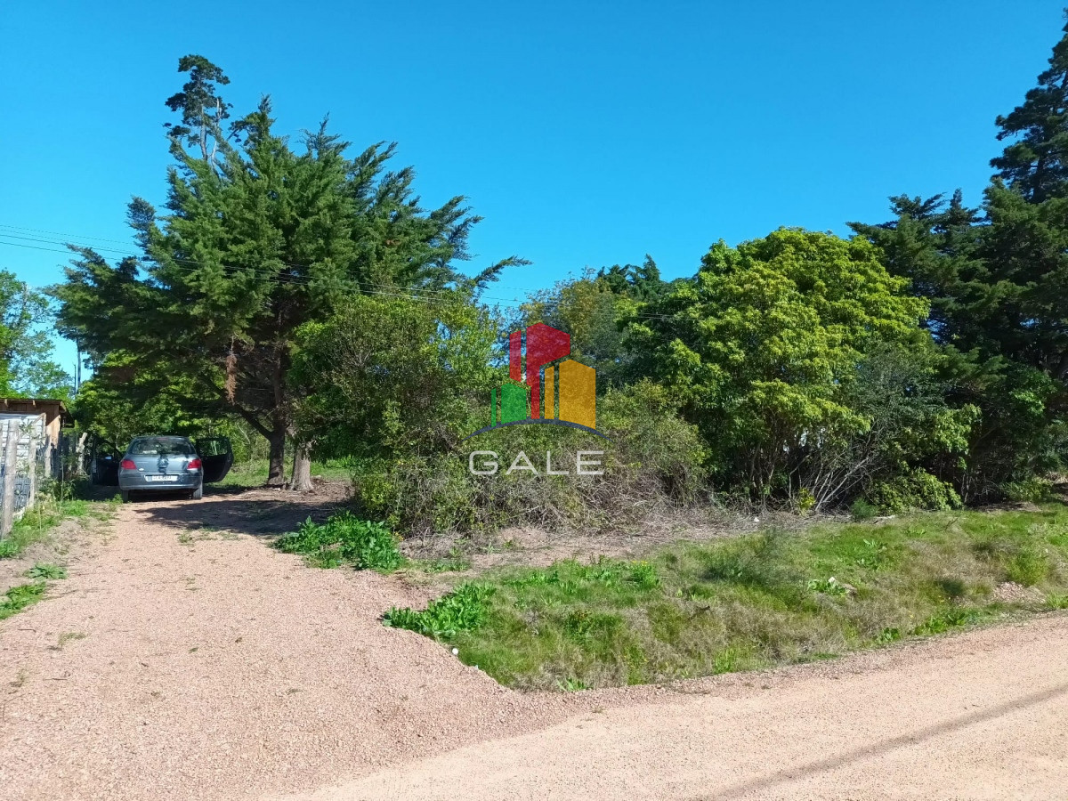 Piedras del Chileno - GoPunta - Portal Inmobiliario de Punta del Este - Maldonado