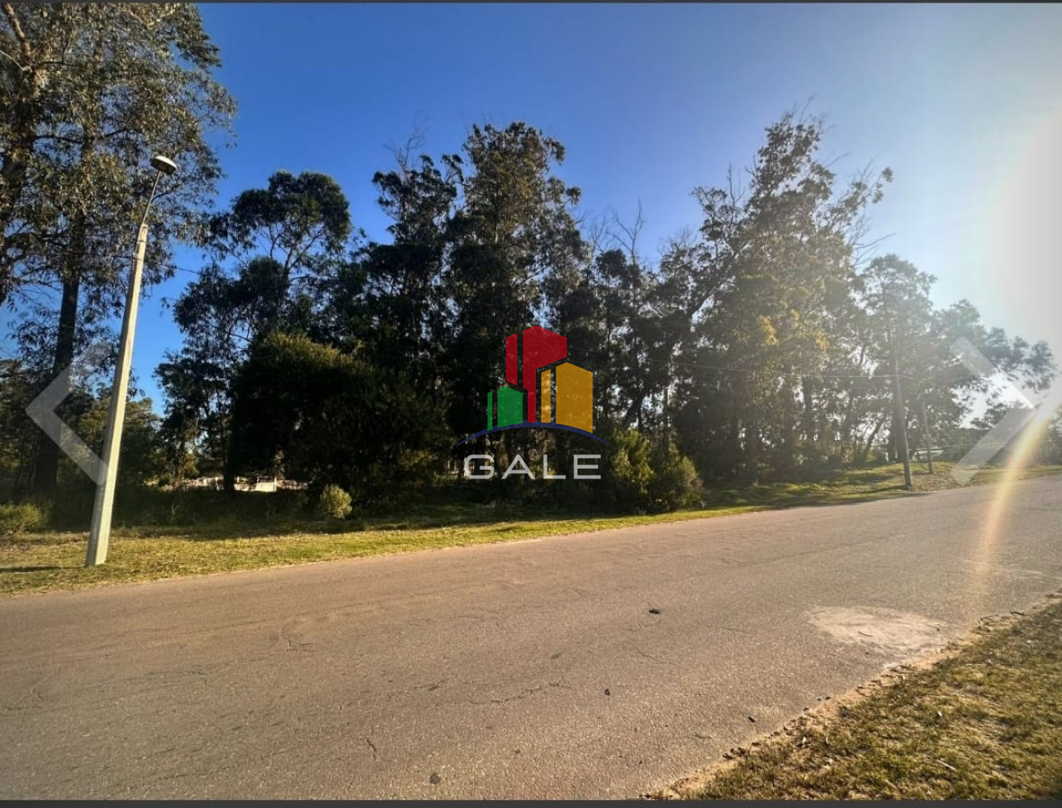Marly - GoPunta - Portal Inmobiliario de Punta del Este - Maldonado