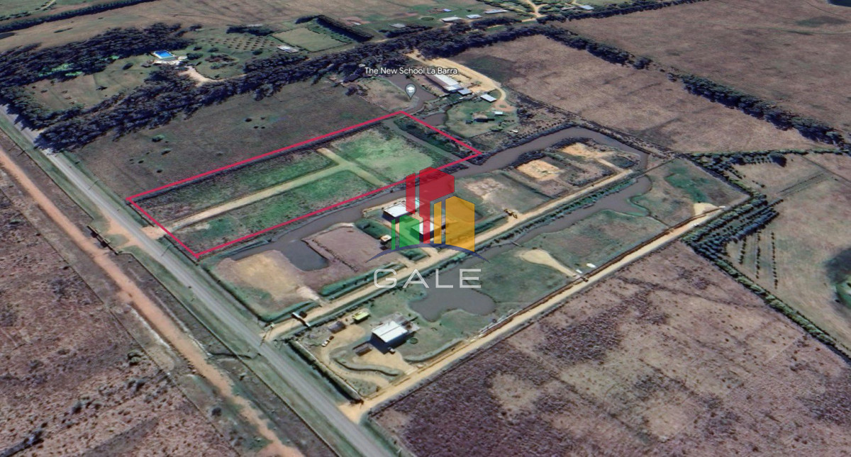 Camino Eguzquiza - GoPunta - Portal Inmobiliario de Punta del Este - Maldonado