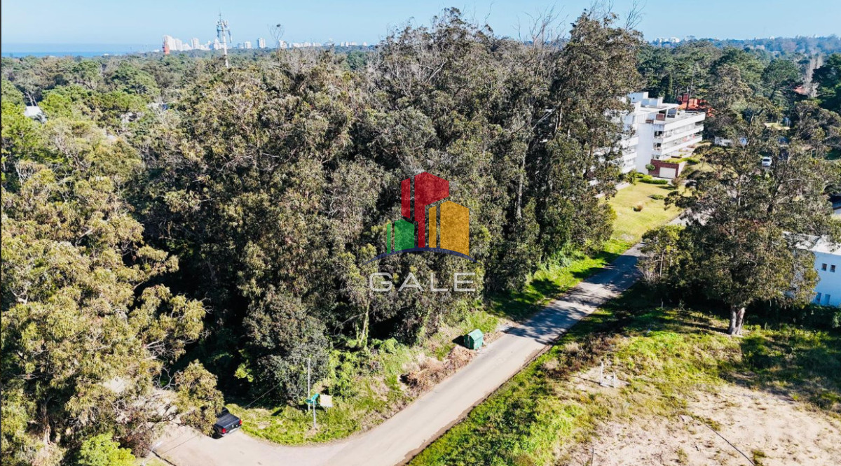 Terreno ID.4438 - Lote apto edificio Rincon del Indio