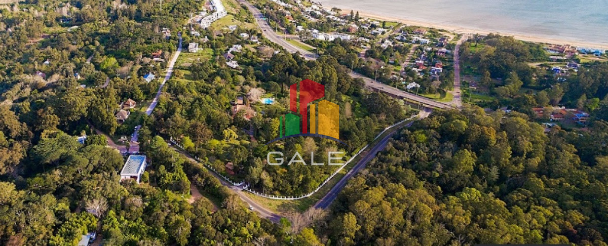 Lomo de la Ballena - GoPunta - Portal Inmobiliario de Punta del Este - Maldonado