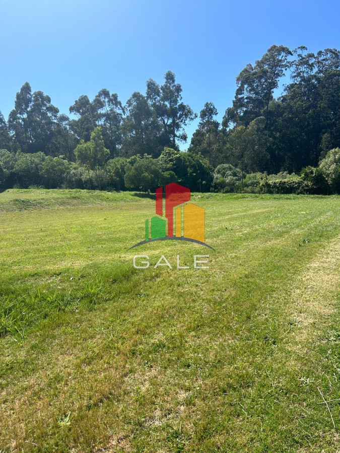 Camino Lussich - GoPunta - Portal Inmobiliario de Punta del Este - Maldonado