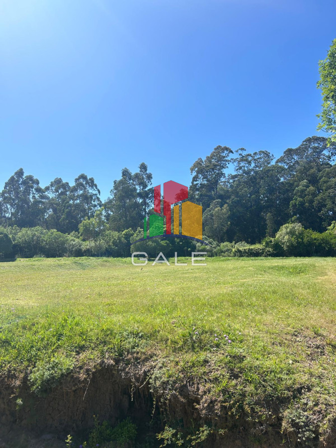 Camino Lussich - GoPunta - Portal Inmobiliario de Punta del Este - Maldonado