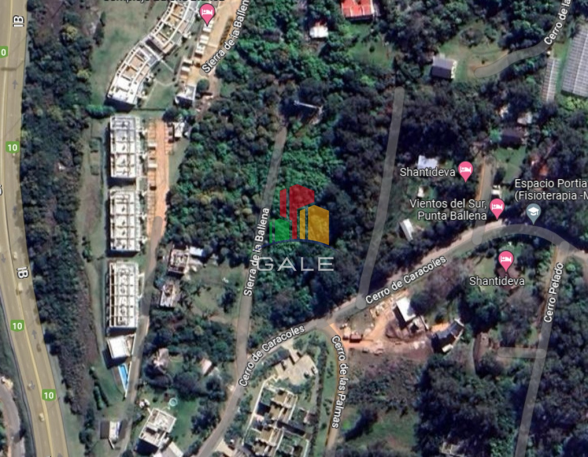 Lomo de la Ballena - GoPunta - Portal Inmobiliario de Punta del Este - Maldonado