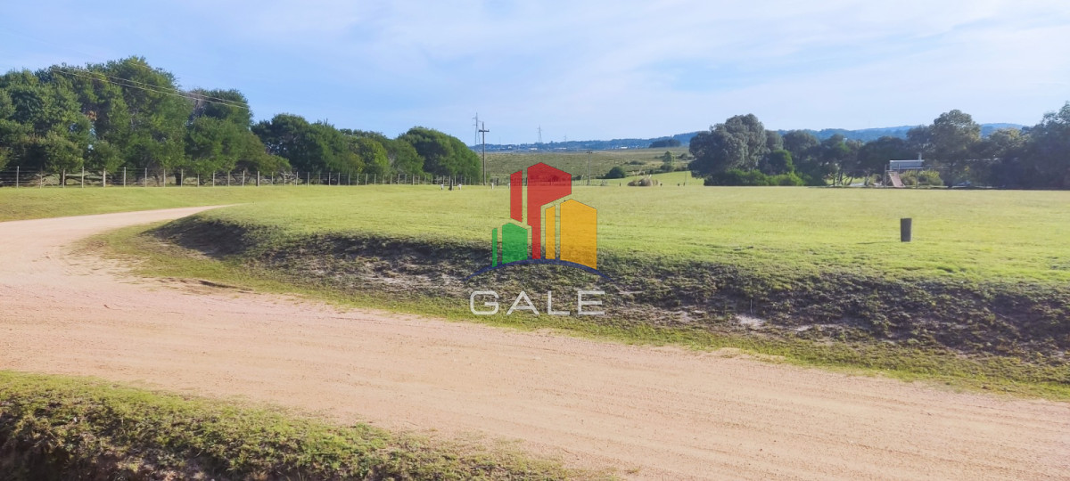 El Quijote - GoPunta - Portal Inmobiliario de Punta del Este - Maldonado
