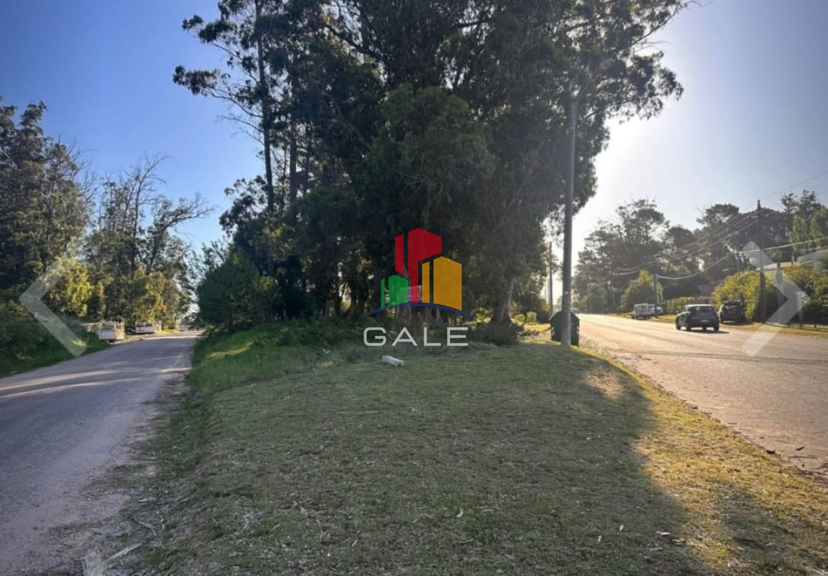 Marly - GoPunta - Portal Inmobiliario de Punta del Este - Maldonado