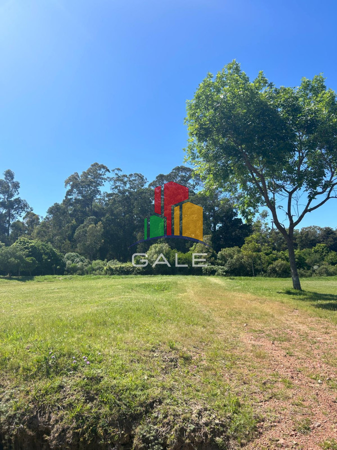 Camino Lussich - GoPunta - Portal Inmobiliario de Punta del Este - Maldonado