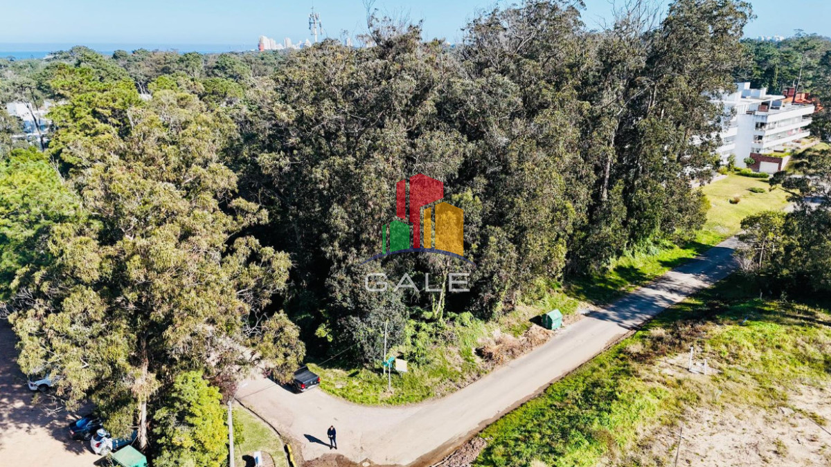 Terreno ID.4438 - Lote apto edificio Rincon del Indio