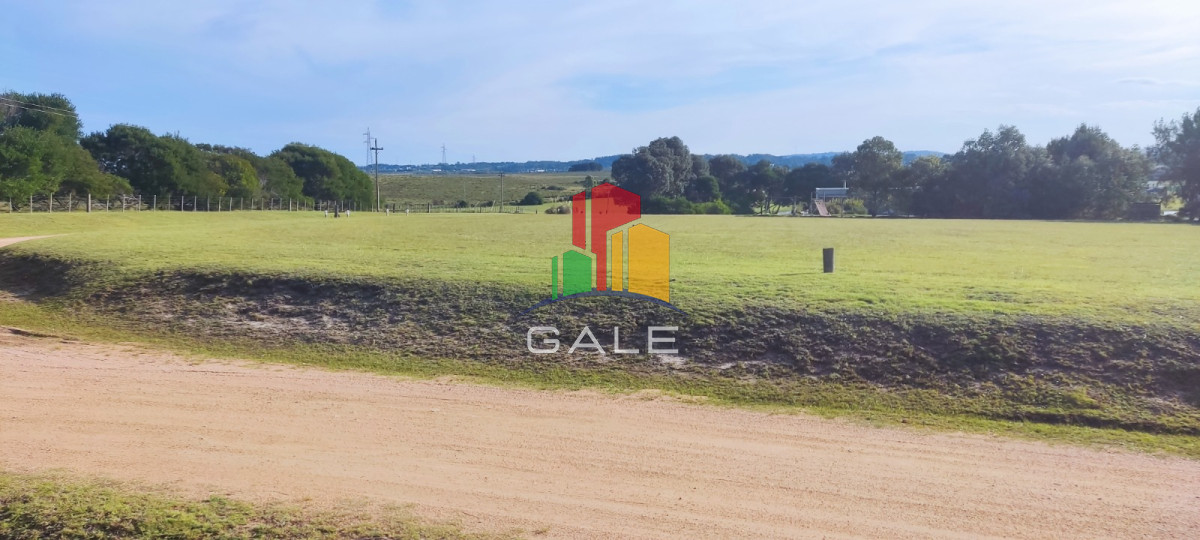 El Quijote - GoPunta - Portal Inmobiliario de Punta del Este - Maldonado