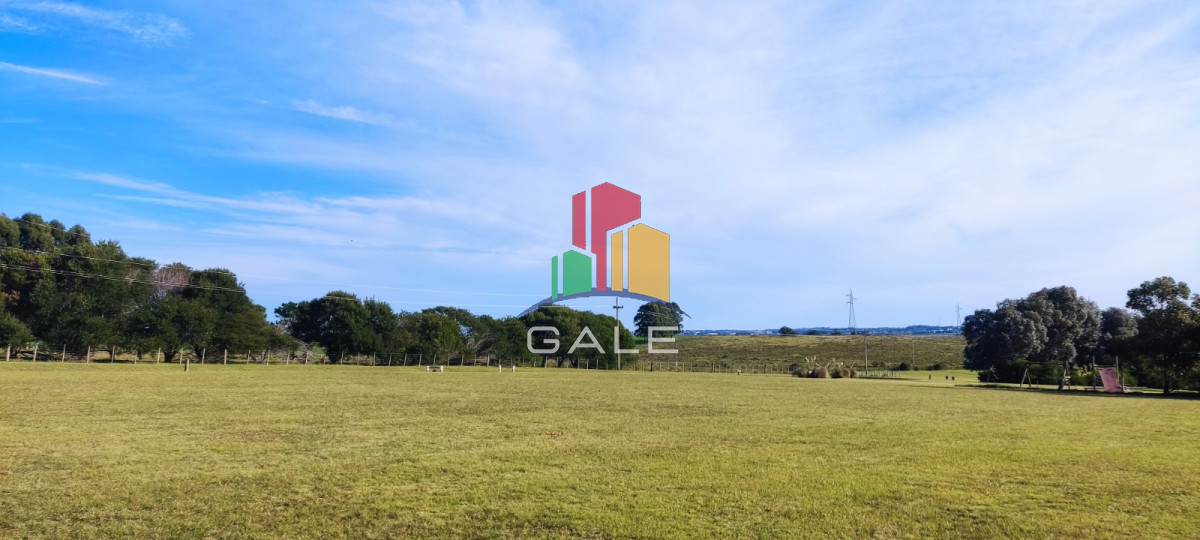 El Quijote - GoPunta - Portal Inmobiliario de Punta del Este - Maldonado