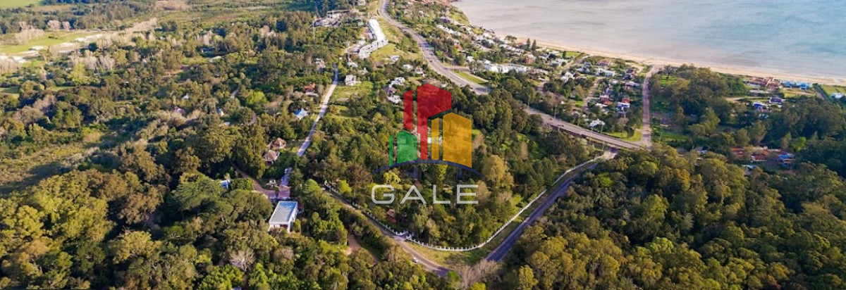 Lomo de la Ballena - GoPunta - Portal Inmobiliario de Punta del Este - Maldonado