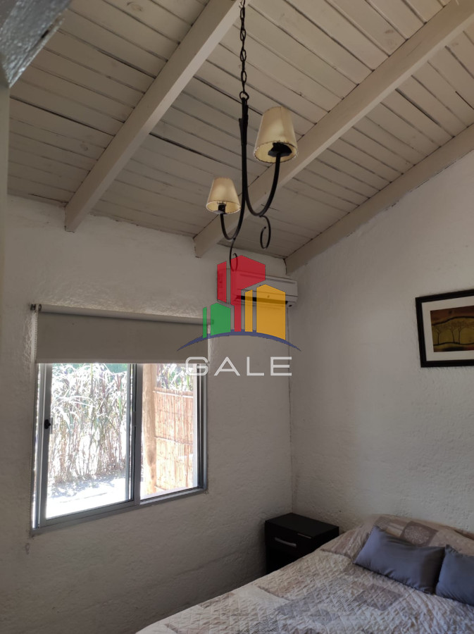 Chihuahua - GoPunta - Portal Inmobiliario de Punta del Este - Maldonado
