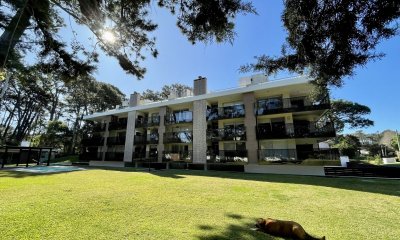Muy lindo apartamento en Playa Brava 2 dormitorios Parrillero propio