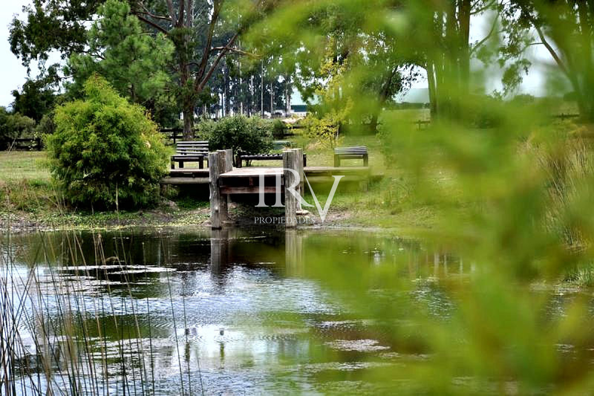 Chacra ID.128 - Oportunidad en Venta Hermosa Chacra en zona de Lapataia