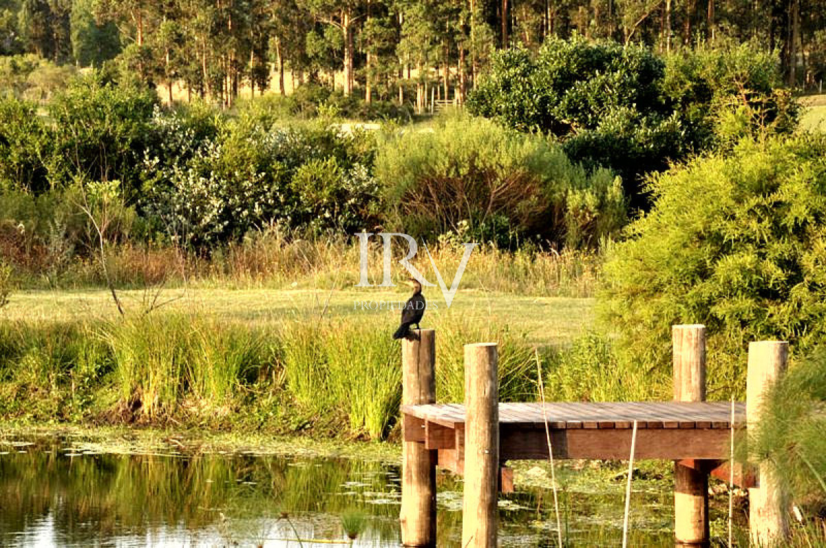 Chacra ID.128 - Oportunidad en Venta Hermosa Chacra en zona de Lapataia