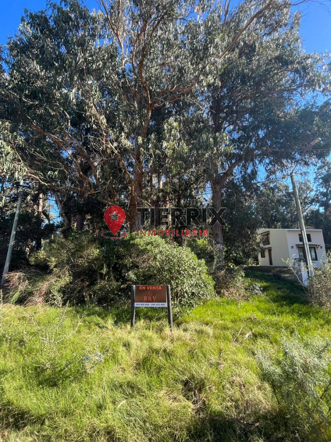 Terreno ID.56 - Terreno Cerca Del Mar - Ocean Park