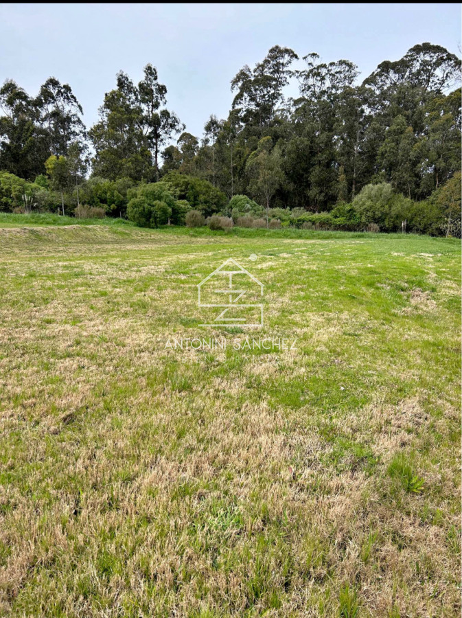 Terreno ID.2444 - Venta terreno 4h, punta del este 